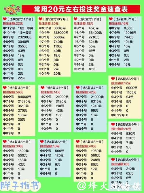 深入解析：世界杯投注图片详解
